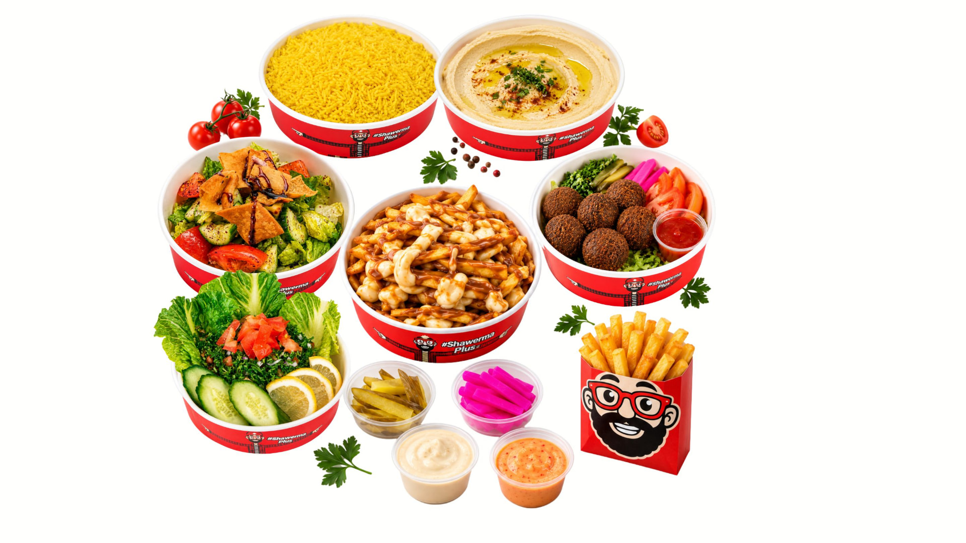 Shawerma Plus hummus, salads, poutine, falafel, fries, rice, pickles and sauces